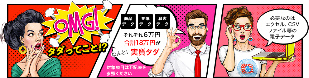 タダってこと！？商品データ在庫データ顧客データそれぞれ6万円合計18万円がなんと！実質タダ 必要なのはエクセル、CSVファイル等の電子データ